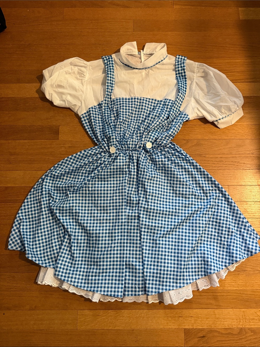 Wizard of Oz Dorothy costume